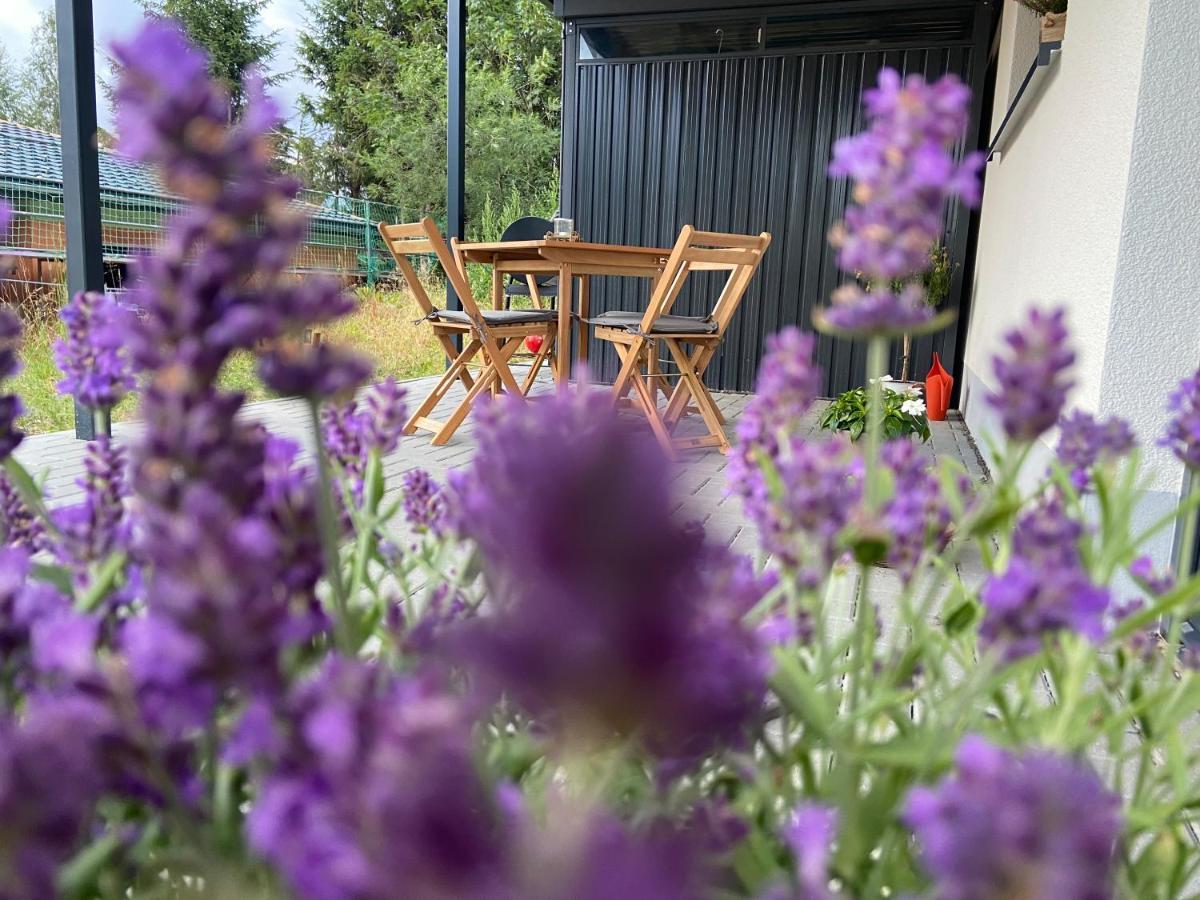 Ferienwohnung Im Chalet Scheibenberg Exterior foto